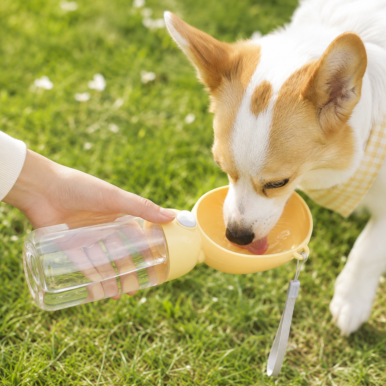 Portable Pet Water Bottle with Drinking Bowl