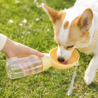 Portable Pet Water Bottle with Drinking Bowl