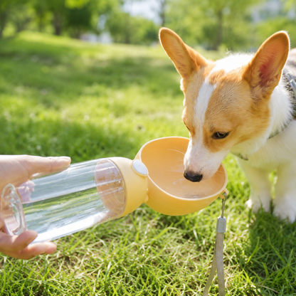 Portable Pet Water Bottle with Drinking Bowl